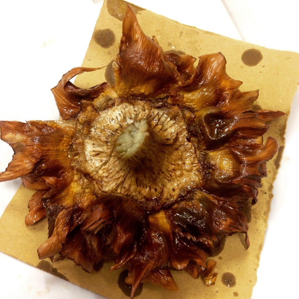 Delicious Family Friendly Restaurants Rome Kids Will Love